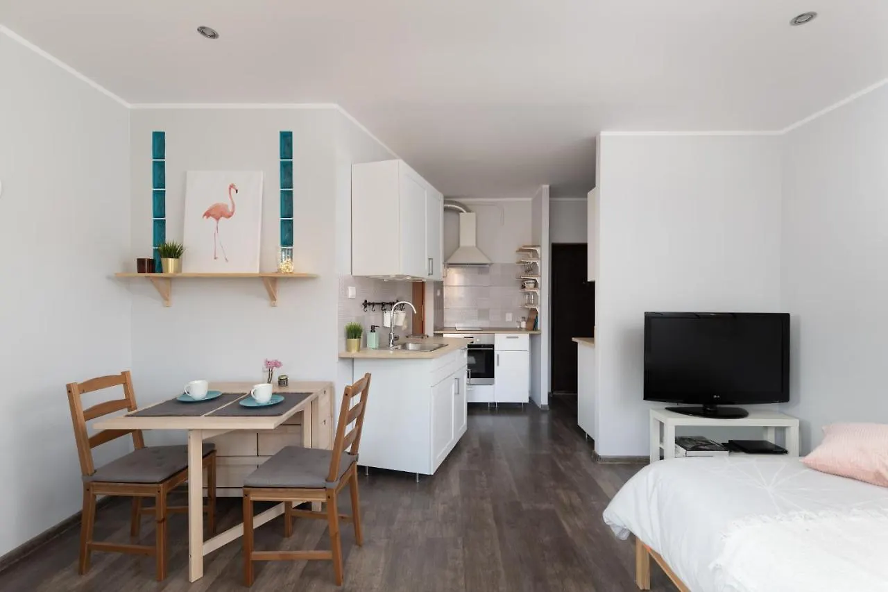Nowolipki Cozy Studio Warsaw Apartment
